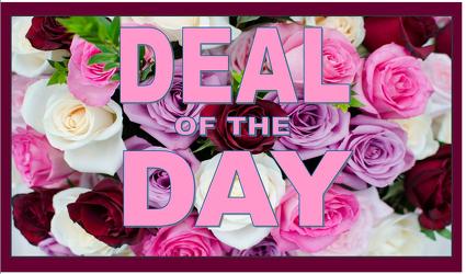 Valentine Deal of the Day from Rose Garden Florist in Barnegat, NJ