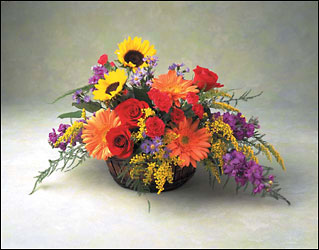 Splendid Summer from Rose Garden Florist in Barnegat, NJ