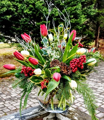 Peppermint Tulips from Rose Garden Florist in Barnegat, NJ