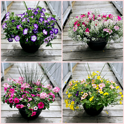 Deluxe Blooming Planter