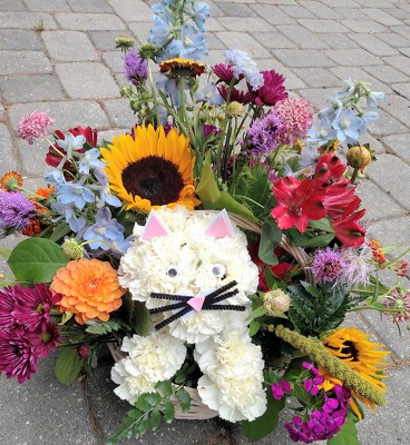 Hello Kitten!  from Rose Garden Florist in Barnegat, NJ