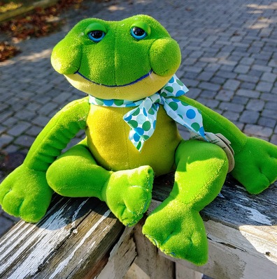 Jolly Froggy from Rose Garden Florist in Barnegat, NJ