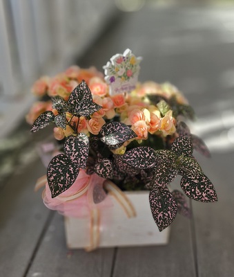 Lovely Blooms