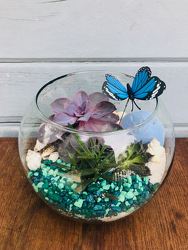 Coastal Succulent Bowl from Rose Garden Florist in Barnegat, NJ