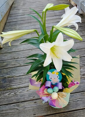 Blooming Easter Lily  from Rose Garden Florist in Barnegat, NJ