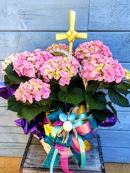 Pink Easter Hydrangea from Rose Garden Florist in Barnegat, NJ