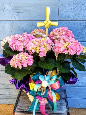 Pink Easter Hydrangea from Rose Garden Florist in Barnegat, NJ