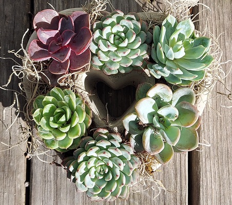 Succulent Heart from Rose Garden Florist in Barnegat, NJ