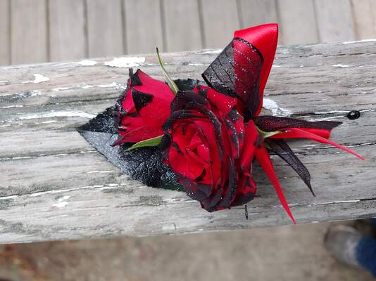 Red and Black boutonniere from Rose Garden Florist in Barnegat, NJ