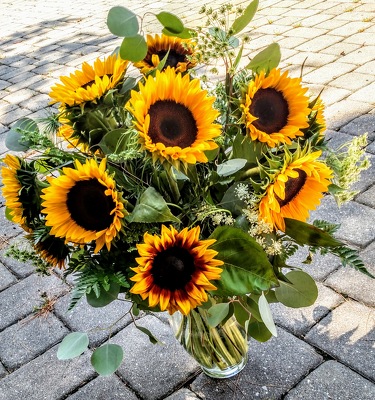 Sunflower Splendor