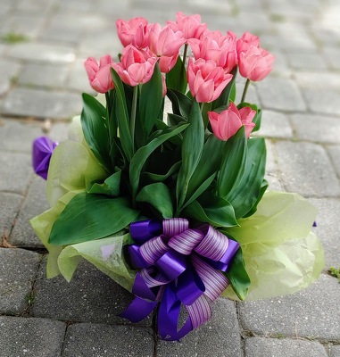 Tulips to Go from Rose Garden Florist in Barnegat, NJ