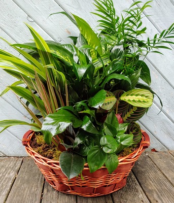 Tranquil Garden from Rose Garden Florist in Barnegat, NJ