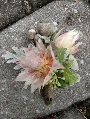 Pink Protea Boutonniere from Rose Garden Florist in Barnegat, NJ